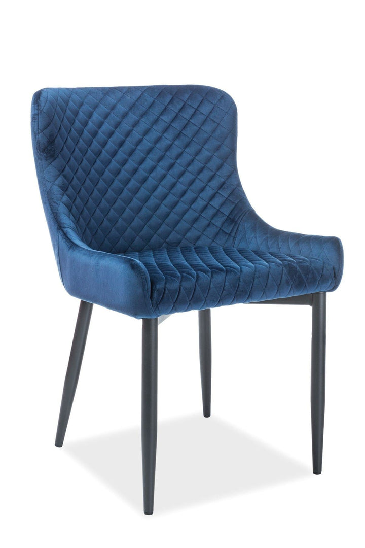 Moderner Esszimmerstuhl Casino in Velvet blau
