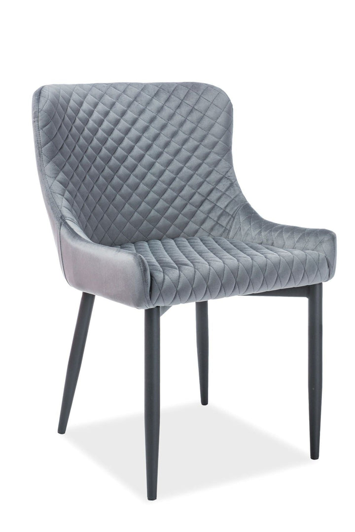 Moderner Esszimmerstuhl Casino in Velvet grau